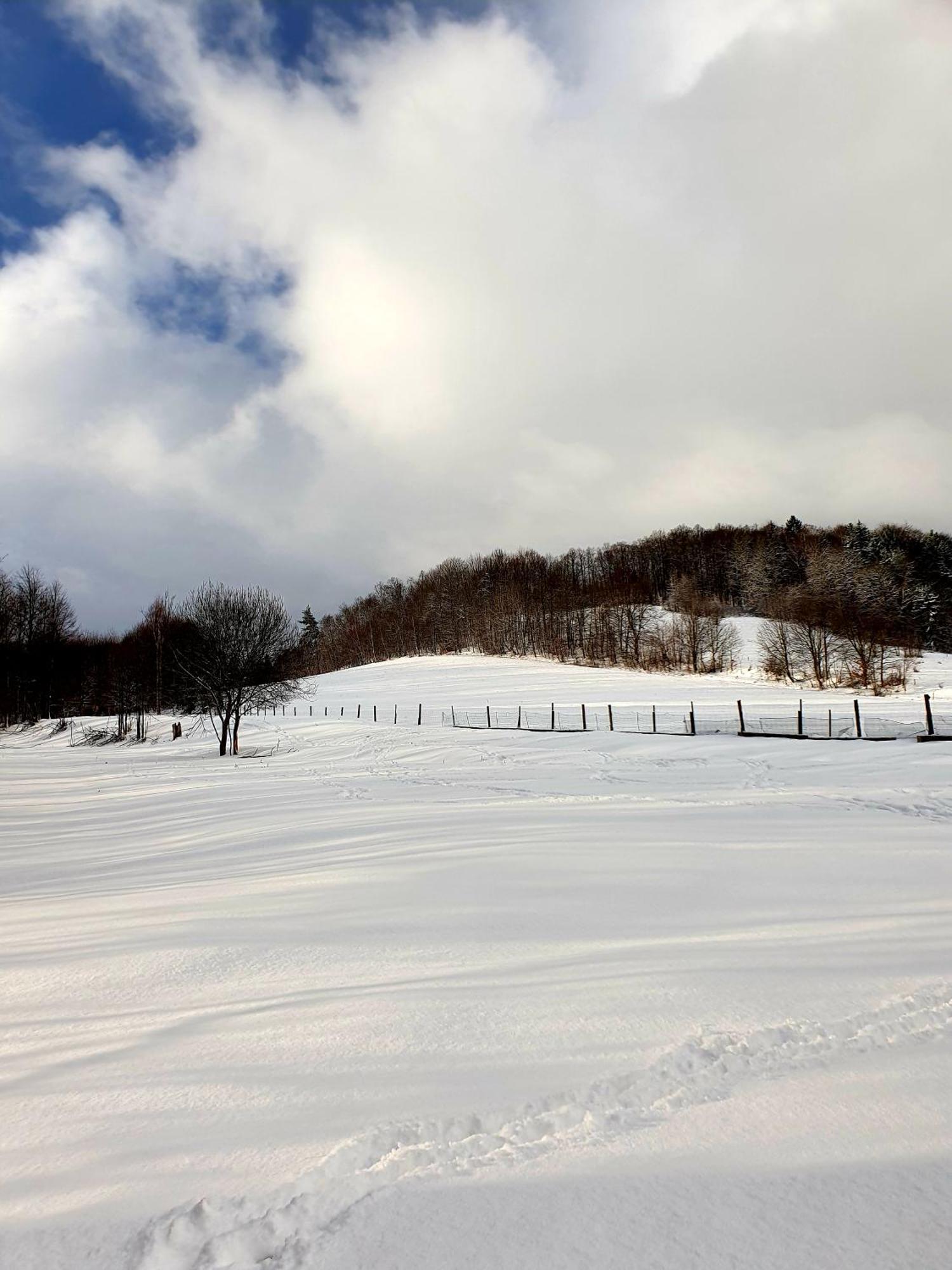 Agroturystyka Natura Pilchowice Extérieur photo
